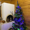 https://cdn.ostrovok.ru/t/100x100/ostrovok/7e/d7/7ed7e5b3b957cc97198c1442e9130430ab69f6bd.jpeg