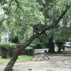https://cdn.ostrovok.ru/t/100x100/ostrovok/8a/a7/8aa722ddbca697902ba57b26860d655f9c68bd9d.jpeg