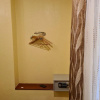https://cdn.ostrovok.ru/t/100x100/ostrovok/9b/df/9bdfd9185868af8d3904a58e1c43492f221105f2.jpeg