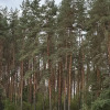 https://cdn.ostrovok.ru/t/100x100/ostrovok/a9/49/a9499eac35fe499ae3b68db5392c36cdae44ffdb.JPEG