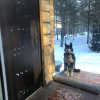https://cdn.ostrovok.ru/t/100x100/ostrovok/bf/4b/bf4bc9fa5393f5a85bbeb292e3559e4f3c401af7.jpeg