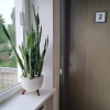 https://cdn.ostrovok.ru/t/100x100/ostrovok/c3/9f/c39ffc3c321fafac3e61c830716a65d85acf2c4f.jpeg