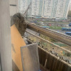 https://cdn.ostrovok.ru/t/100x100/ostrovok/cd/7e/cd7efca7357ac74fa512940224485f6433fe13e4.jpeg
