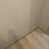 https://cdn.ostrovok.ru/t/100x100/ostrovok/d2/08/d208ec0c29d86d5847a9cf614f1373e6cd11be2e.jpeg