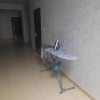 https://cdn.ostrovok.ru/t/100x100/ostrovok/d8/2c/d82cebe6ca8b2ca01cedb2556f747aeb252f971f.jpeg