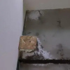 https://cdn.ostrovok.ru/t/100x100/ostrovok/e2/7d/e27d45cb8aa9c4fa923e7c816d06c78200b8dfc9.jpeg