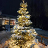 https://cdn.ostrovok.ru/t/100x100/ostrovok/e2/d5/e2d53910602a24f8bf2bb6ba1de8d04317b5156b.jpeg