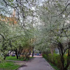 https://cdn.ostrovok.ru/t/100x100/ostrovok/eb/b7/ebb7fb6fcfcfcd1e2dce51d37a0930d891907b13.jpeg