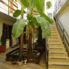 Гостиница Afalina Guest House Гостиница Afalina Guest House в Сочи