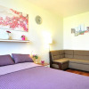 Гостиница Apartment Evia Гостиница Apartment Evia в Санкт-Петербурге