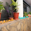 Гостиница Hostel Inzhir Гостиница Hostel Inzhir в Сочи