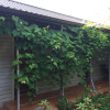 Гостиница Guest House Khristophor Гостиница Guest House Khristophor в Сочи