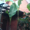Гостиница Cottage u Morporta Гостиница Cottage u Morporta в Сочи
