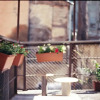 Отель Family Guest House Old Street Отель Family Guest House Old Street в Тбилиси