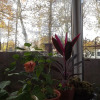 Гостиница Guest House Lukomorye Гостиница Guest House Lukomorye в Анапе