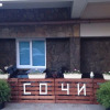 Гостиница Sochi Hostel Гостиница Sochi Hostel в Сочи