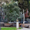 Отель Old town Levanto Отель Old town Levanto в Тбилиси