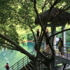 Отель Green River Guesthouse and Restaurant Отель Green River Guesthouse and Restaurant во Сне Чать