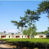 Отель The Mystic Forest - A Tea Garden Resort Отель The Mystic Forest - A Tea Garden Resort в Пхунчолинге