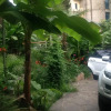 Гостиница Guest House Na Shosseynoy Гостиница Guest House Na Shosseynoy в Сочи
