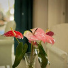 Отель Sugar Bay Barbados - All Inclusive Отель Sugar Bay Barbados - All Inclusive в Портерсе