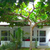 Отель Village Vacances Awale Plage Отель Village Vacances Awale Plage в Гранде-Попо