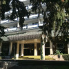 Гостиница Magnolia Sochi Hostel Гостиница Magnolia Sochi Hostel в Сочи