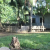 Отель Chona and Christophe Guesthouse - Masbate Отель Chona and Christophe Guesthouse - Masbate в Masbate