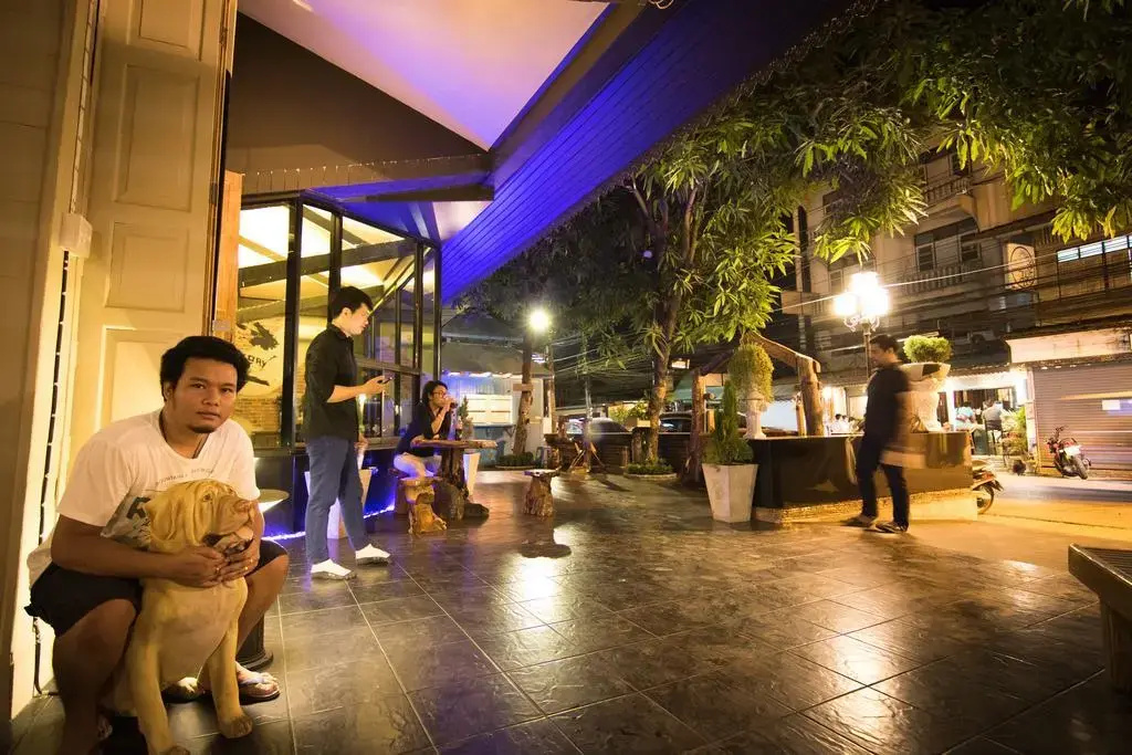 Sleep Nest Hostel