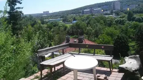 Branik Garden