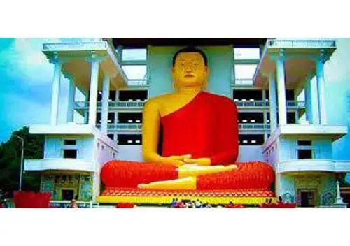 Freedom City Resort