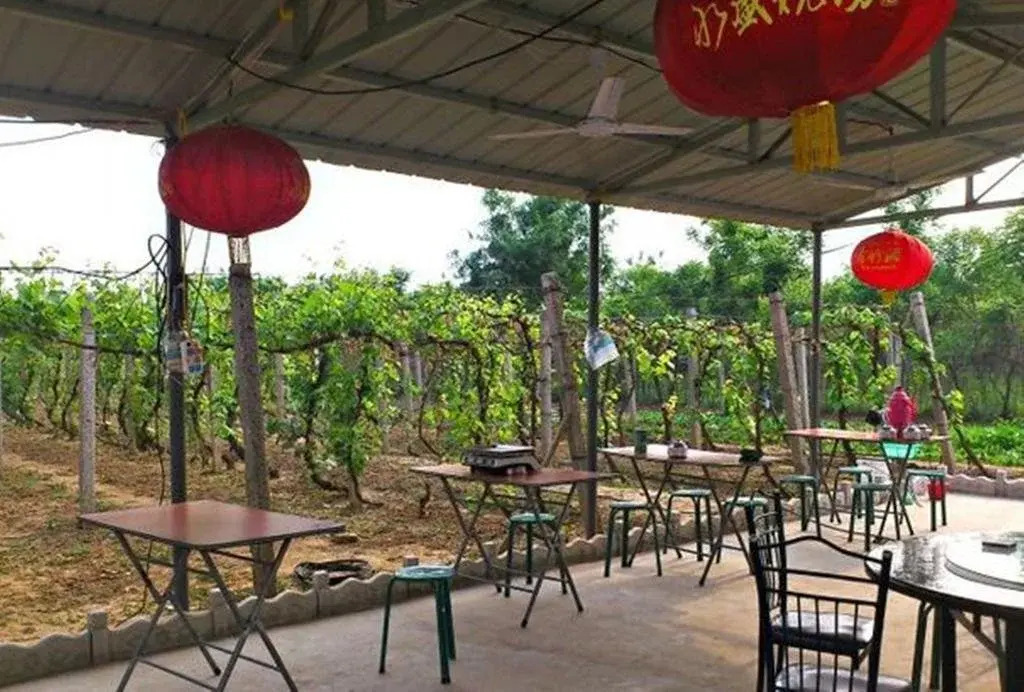Fucha Guesthouse