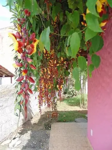 Dolce Villa