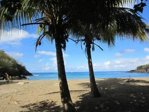 Bungalow Residence Petite Anse I