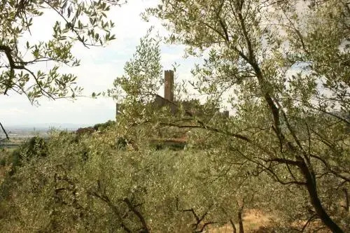 La Torre