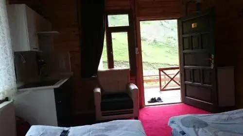 Aslan Apart Evleri
