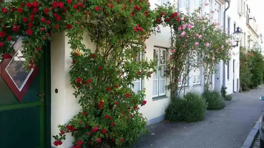 Gästehaus am Krähenteich
