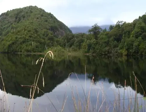 Casa Campo Carretera Austral