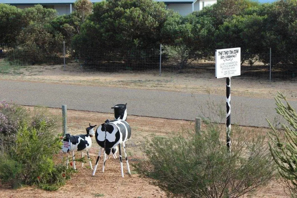 The Two Tin Cow B&B