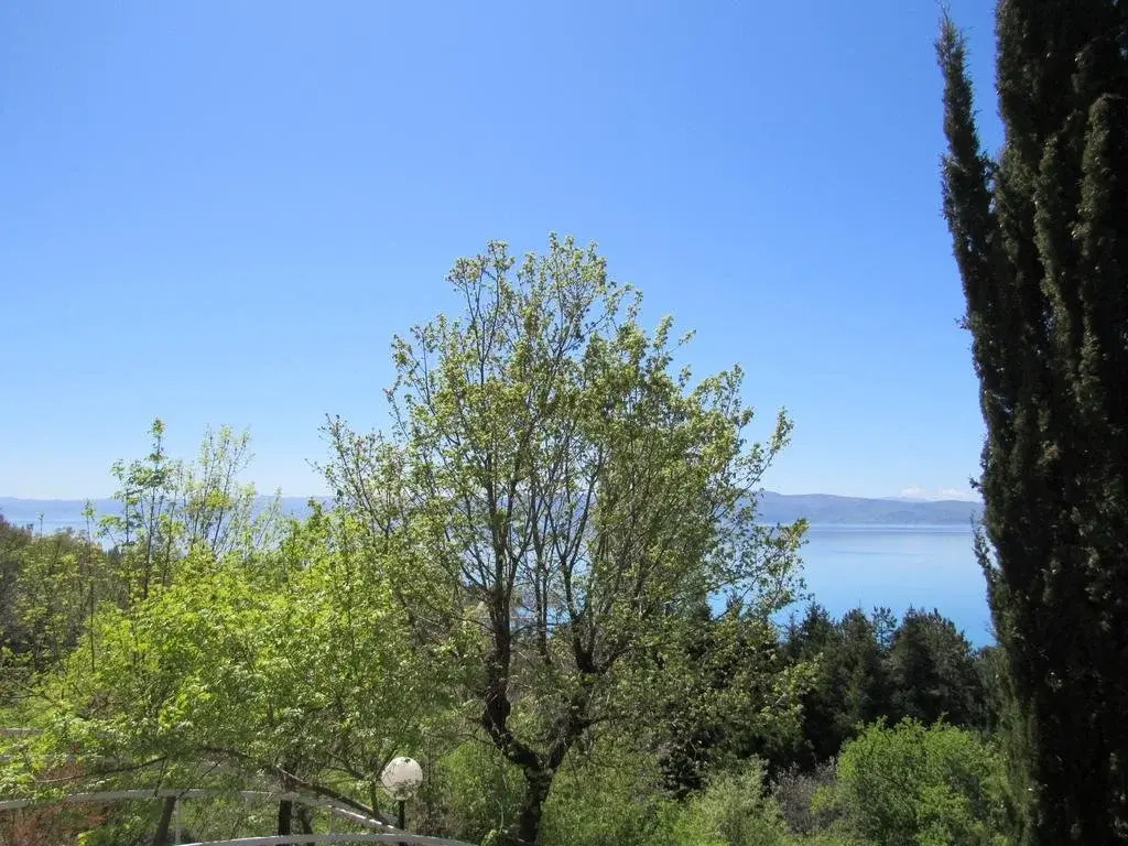 Guest House Villa Spaseski