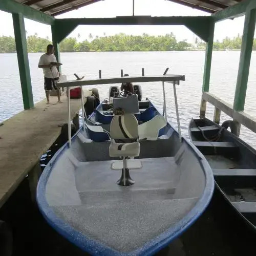 Toucan and Tarpon