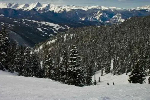 Timber Lodge