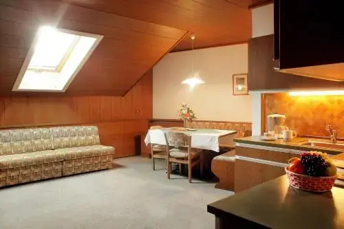 Apartments Zilli