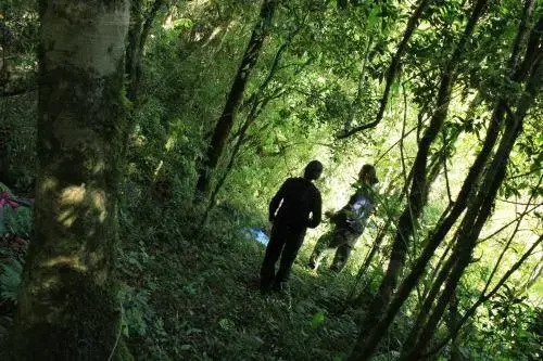La Perla de la Selva Lodge