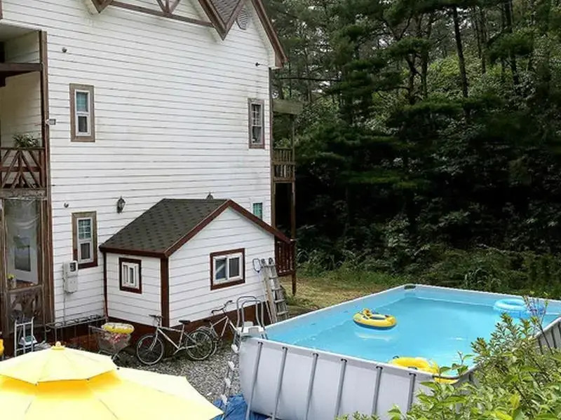 Sea and Pine Tree Pension