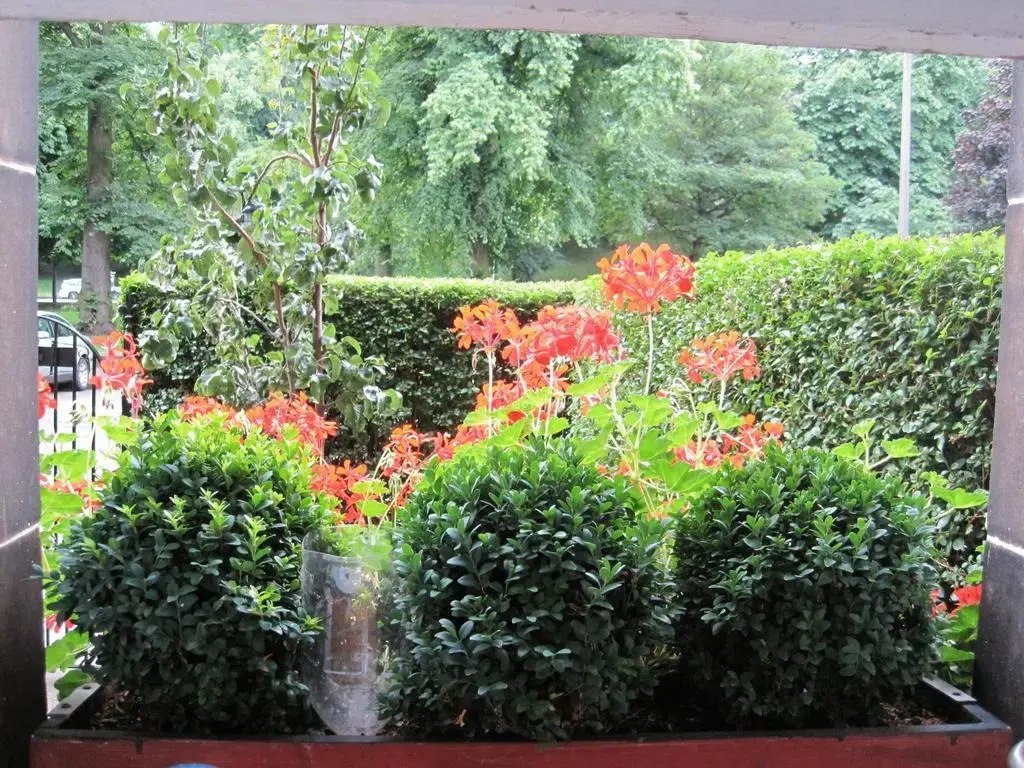 The Hedges