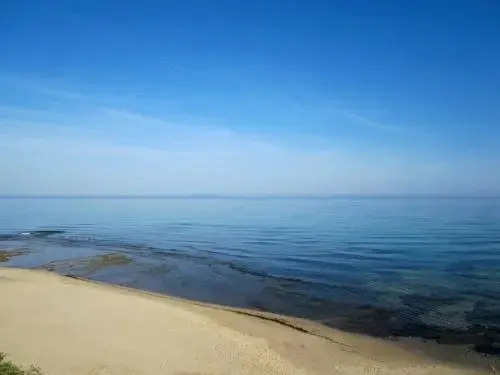La Ferula Blu