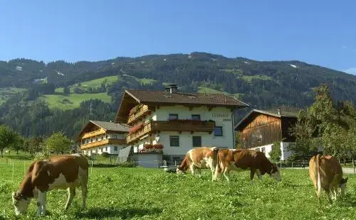Schorpenhof