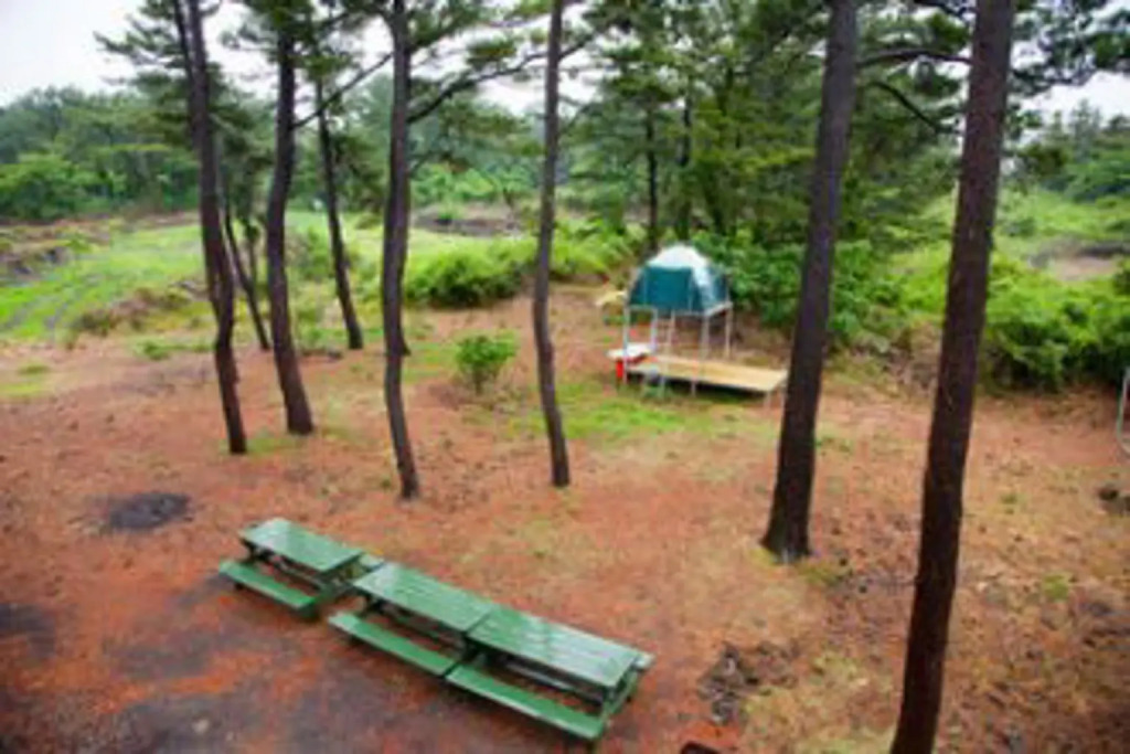 Solsup Pension