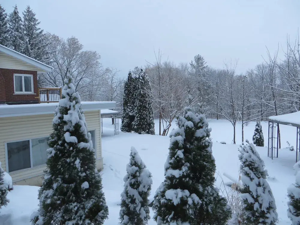 Centennial House Bed and Breakfast